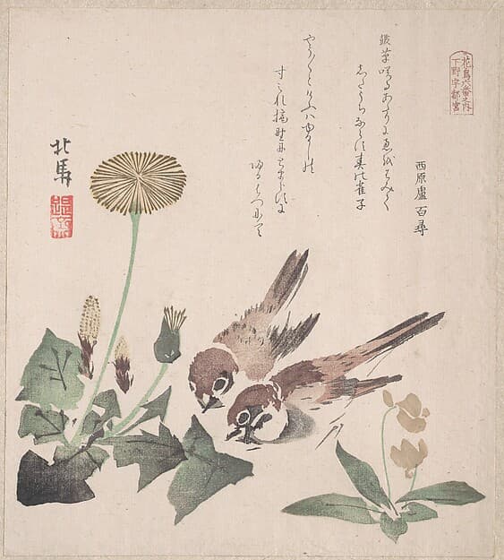 摺物帖 『春雨集』 『花鳥六番之内 下野宇都宮』 タンポポに雀|Spring Rain Collection (Harusame shū), vol. 3: Sparrows and Dandelions
