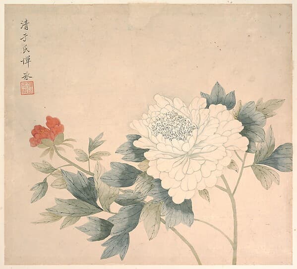 清 惲冰 花卉圖 册页|Flower Study