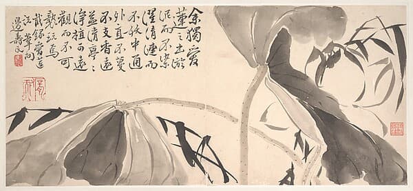清 邊壽民 墨荷蘆葉圖 冊頁|Lotus Leaves and Water Reeds