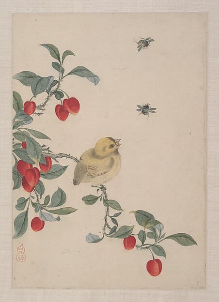 Birds, Insects and Flowers