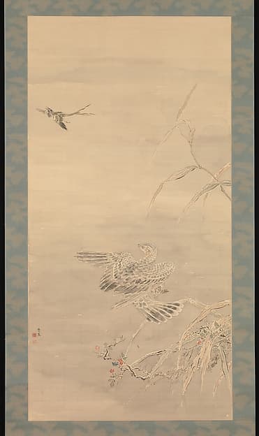 Hawk Grasping a Small Bird