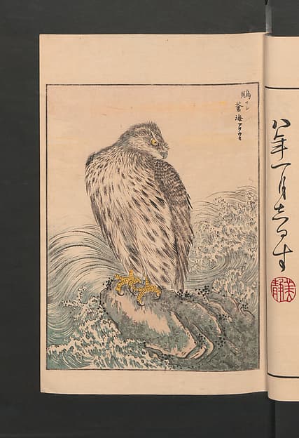 聚鳥畫譜|Picture Album of Various Birds (Shūchō gafu)