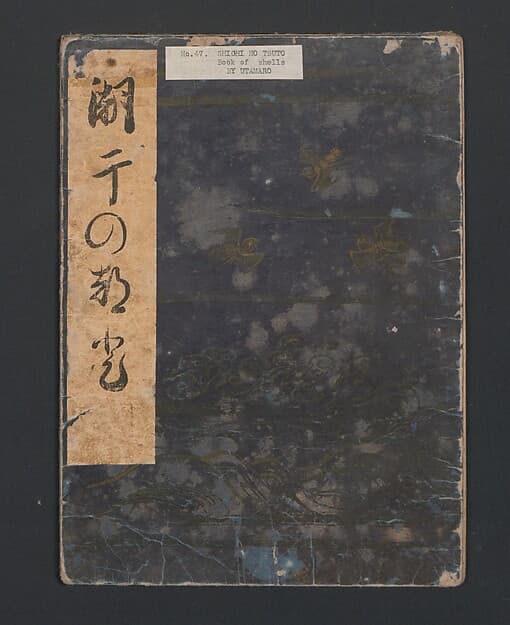 潮干のつと|Gifts from the Ebb Tide (The Shell Book) (Shiohi no tsuto)