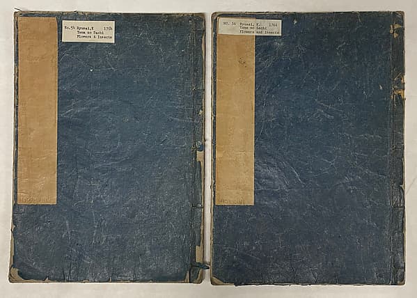 The Abundance of the Mountains