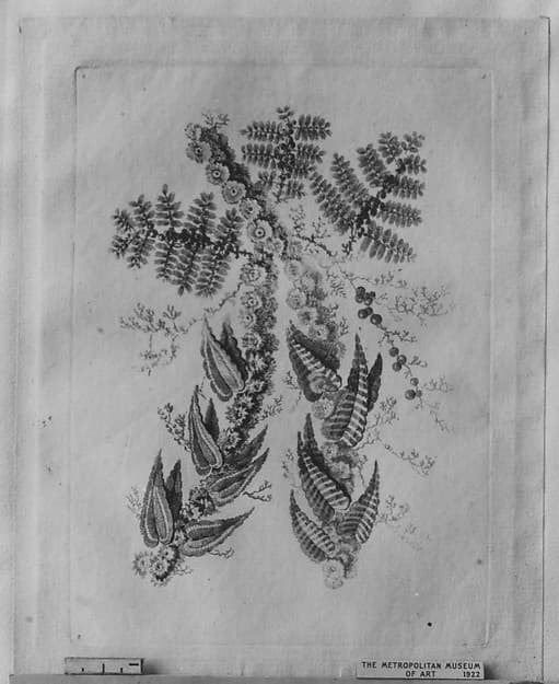 Flowers from Nouvelle Suite de Cahiers de Fleurs idéales a l'usage des dessinateurs et des peintres