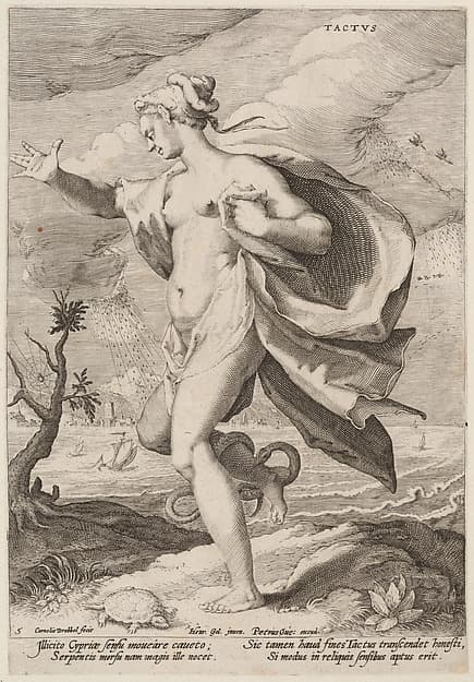 Touch, from the Five Senses