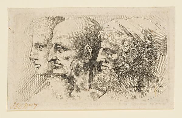 Three Heads in Profile