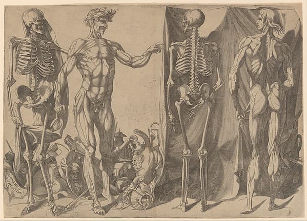 Two Flayed Men and Their Skeletons
