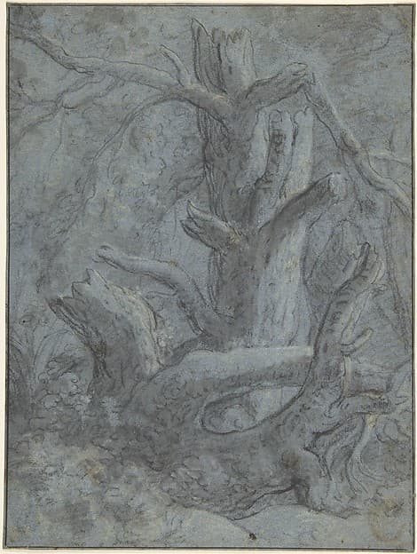Study of a Blasted Tree Trunk and Branches