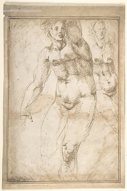 Nude Figure Studies (Recto); Sheet of Figure Studies (Verso)