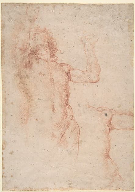 Study of Nude Figure in Front View Looking Upward; Study of Torso and Left Arm