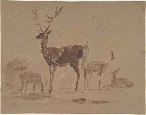 Stag and Its Young