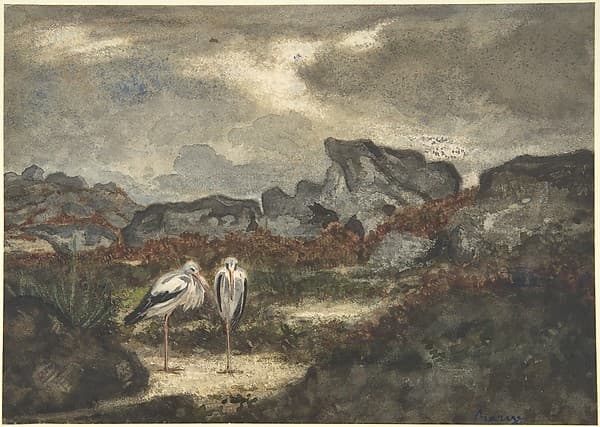 Herons in Landscape
