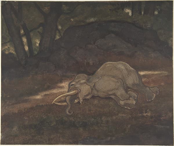 Sleeping Elephant