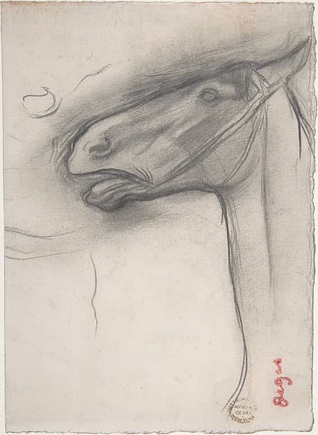 Head of a Horse