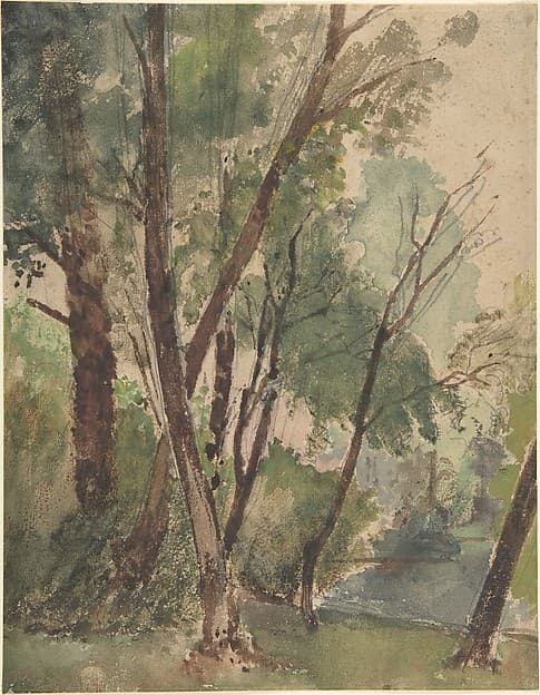 Trees Beside a Pond