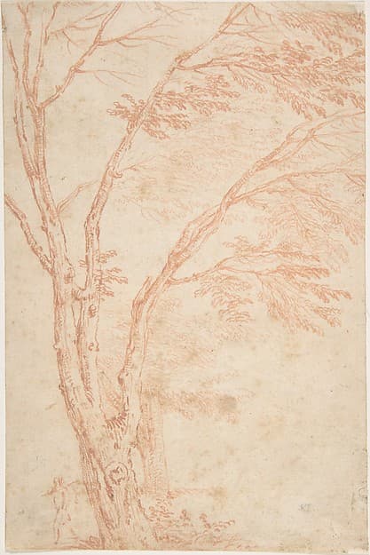 A tree and figure