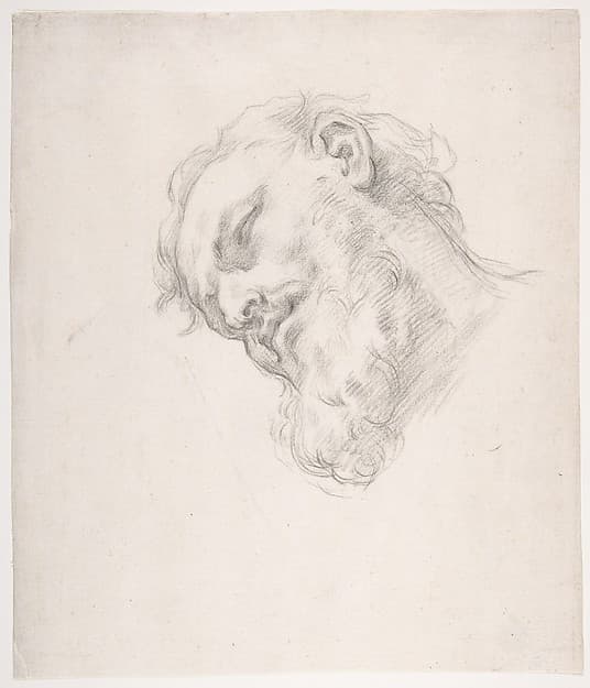Study for a Head of a Man