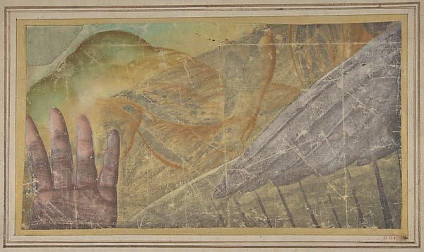 Fragment of a Tapestry Cartoon: Outstretched Hand, Body of a Seraph, and a Wing