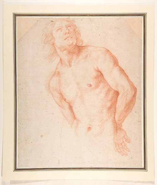 Half-Figure of a Male Nude with Arms behind Back