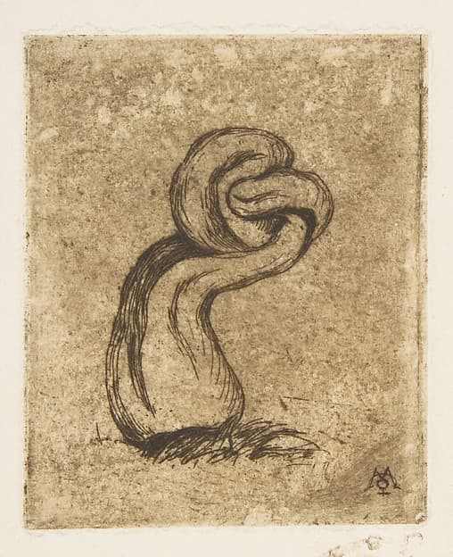 The puny Cryptogamia