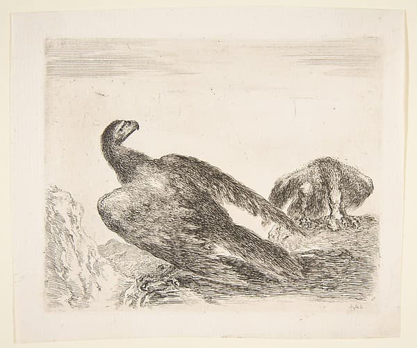 Two eagles, one with prey, from 'Eagles' (Les aigles)