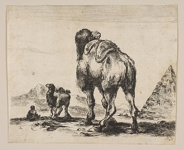 Plate 18: Camel viewed from behind with pyramid at right, from "Various animals" (Diversi animali)