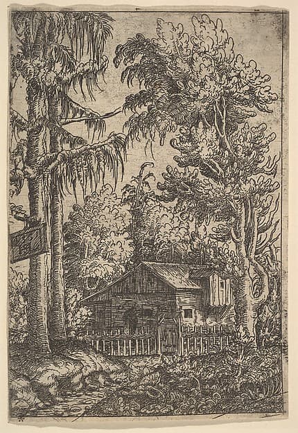 Cabin Among Trees