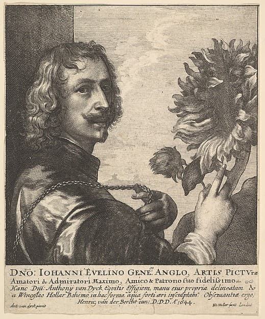 Sir Anthony Van Dyck with a Sunflower