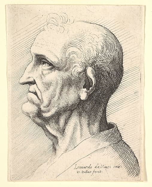 Head of an old man with tufts of curly hair around ear in profile to left