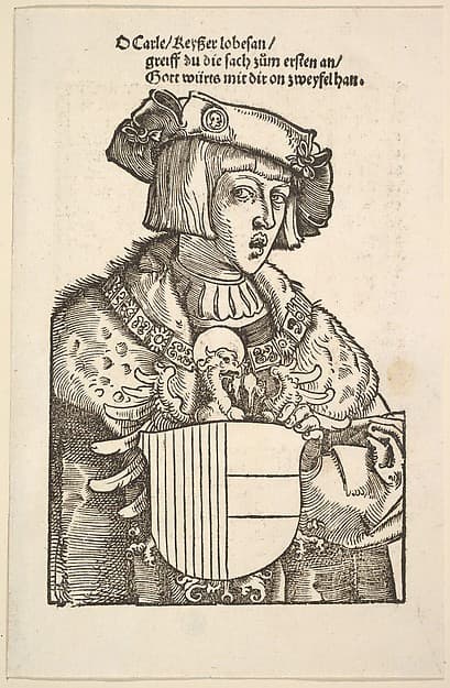 Portrait of Charles V