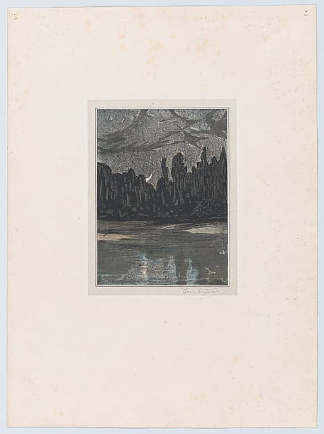 Migratory Birds on a Moonlit Night