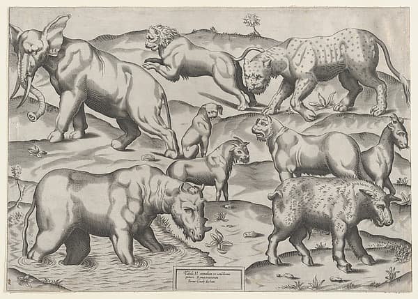 Speculum Romanae Magnificentiae: Wild Animals, from antique wall paintings, plate 2