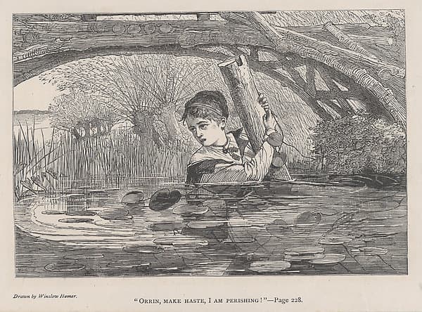 "Orrin, Make Haste, I Am Perishing!" (The Galaxy, An Illustrated Magazine of Entertaining Reading, Vol. VI)