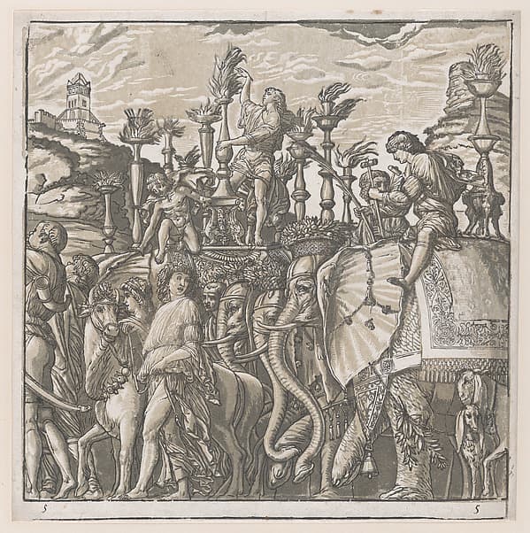 Sheet 5: Elephants, from "The Triumph of Julius Caesar"
