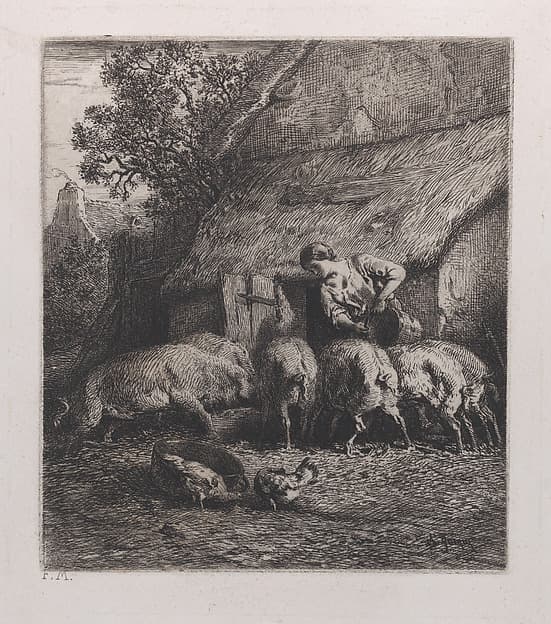 Woman Feeding Pigs