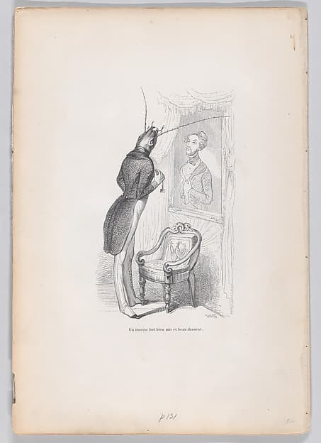 "A very well put insect and beautiful dancer" from Scenes from the Private and Public Life of Animals