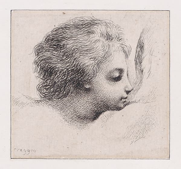Head of a Cherub, after Guercino