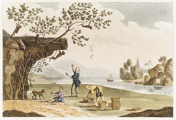 The Repository of Arts, Literature, Fashions, Manufactuers, &c., 2nd series, volume 12