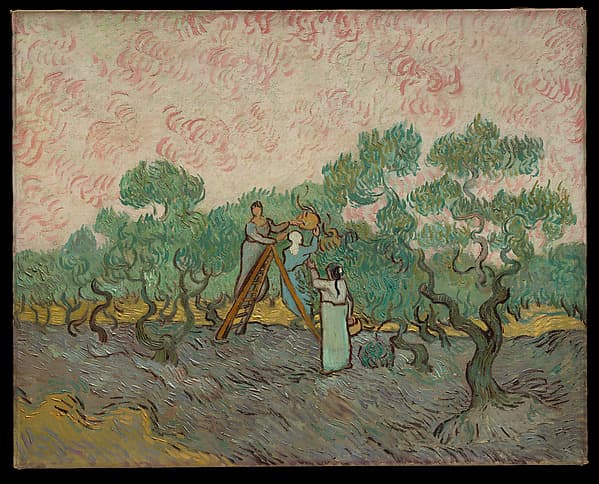 Women Picking Olives