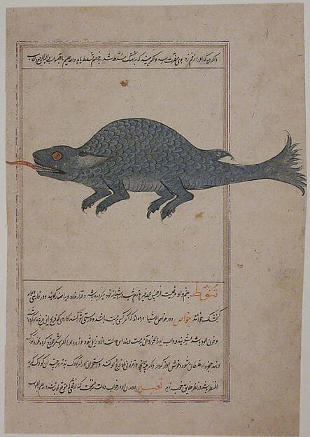 Folio from a Bestiary and Herbal