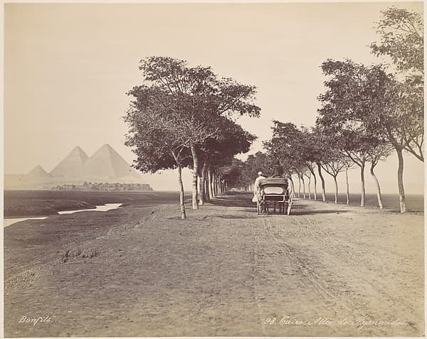 Caire. Allée de Pyramides